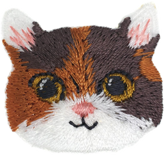 Cat Head/Brown Patch
